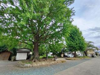 飯坂八幡神社の参拝記録(さとみさん)