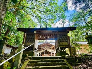 王宮伊豆神社の参拝記録(shikigami_hさん)