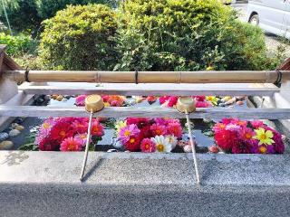 豊景神社の参拝記録(さとみさん)