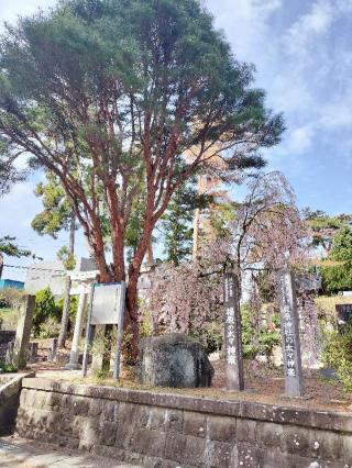 豊景神社の参拝記録(ハシさん)