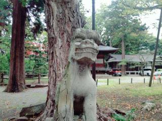 蠶養國神社の参拝記録(miyumikoさん)