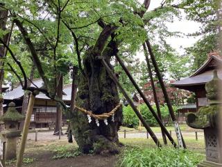 蠶養國神社の参拝記録(山ちゃんさん)