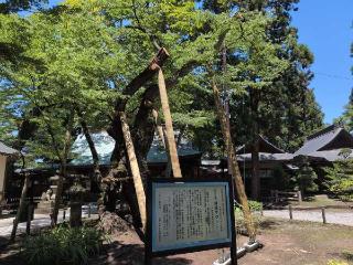 蠶養國神社の参拝記録(SFUKUさん)