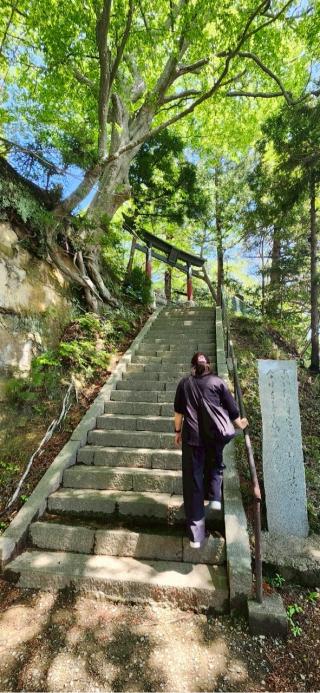 八坂神社の参拝記録(®️さん)