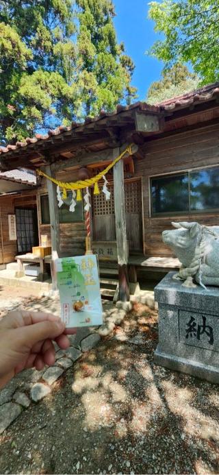 八坂神社の参拝記録(®️さん)