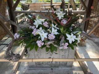 温泉神社の参拝記録(SUPRAさん)