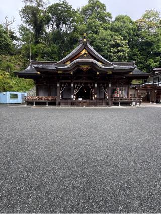 金刀比羅神社の参拝記録(こーちんさん)