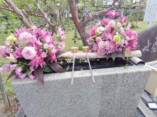 茨城県護国神社（茨城縣護国神社）の参拝記録(優雅さん)