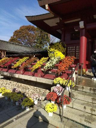 笠間稲荷神社の参拝記録(zx14rさん)