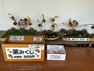 笠間稲荷神社の参拝記録(はとさん)