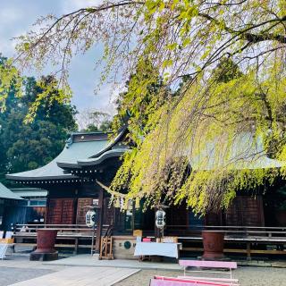 吉田神社の参拝記録(のぶさん)