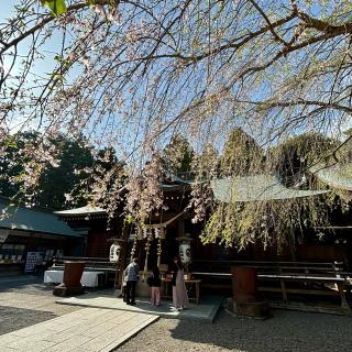 吉田神社の参拝記録(のぶさん)