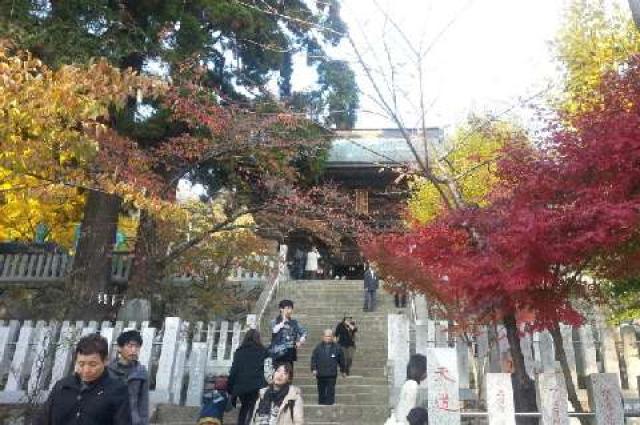 茨城県つくば市筑波１ 筑波山神社の写真1