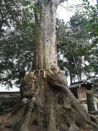 沓掛香取神社の参拝記録(さとみさん)