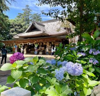 大寳八幡宮の参拝記録(のぶさん)