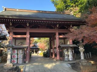 大寳八幡宮の参拝記録(水戸のミツルさん)