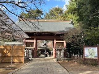 大寳八幡宮の参拝記録(はとさん)