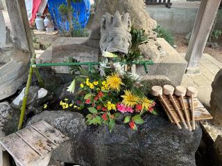 大寳八幡宮の参拝記録(はとさん)