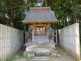 台渡里八幡神社の参拝記録(さくらもちさん)
