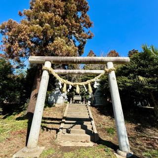 台渡里八幡神社の参拝記録(のぶさん)