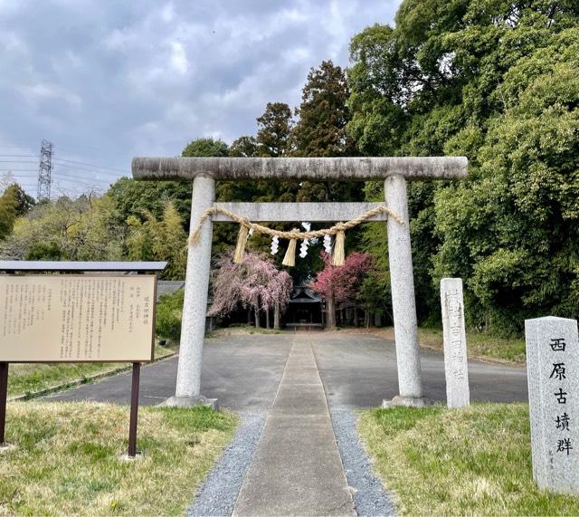 吉田神社の参拝記録(のぶさん)