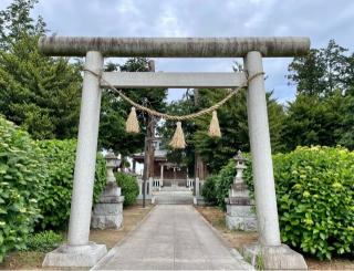 鷲神社の参拝記録(のぶさん)