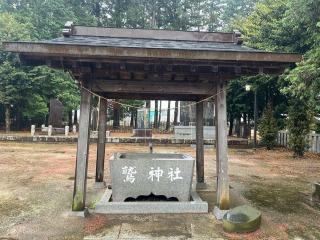 鷲神社の参拝記録(てんさん)