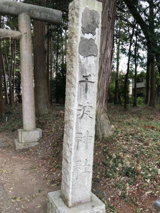千波神社の参拝記録(ミンコさん)