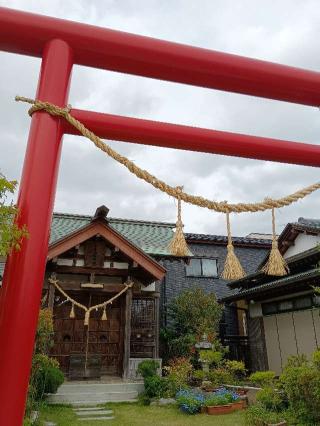 市杵姫神社の参拝記録(ジョージ。さん)
