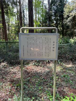 水戸神社の参拝記録(神追人さん)