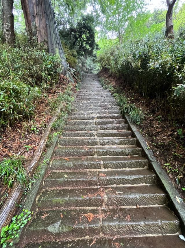 水戸神社の参拝記録3