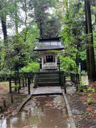 水戸神社の参拝記録(てんさん)