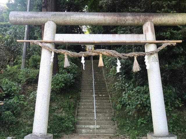 大井神社の参拝記録(さくらもちさん)