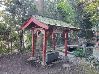 大井神社の参拝記録(飛成さん)