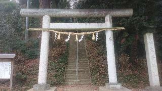 大井神社の参拝記録(のりさん)