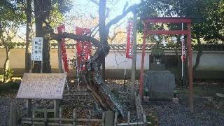 弘道館鹿島神社の参拝記録(優雅さん)