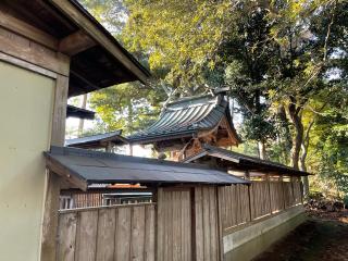 芳賀神社の参拝記録(智恵子さん)