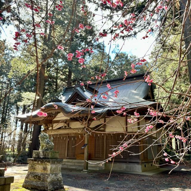 杉崎八幡神社の参拝記録(のぶさん)