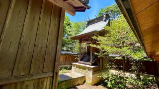 蠶養神社の参拝記録(金猿さん)