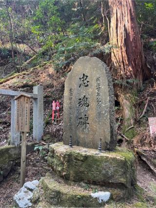 賀毗禮神宮の参拝記録(⛩️🐍🐢まめ🐢🐍⛩️さん)