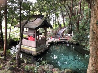 泉神社の参拝記録(金猿さん)