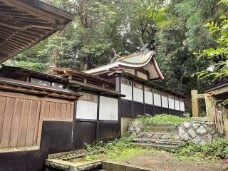 泉神社の参拝記録(智恵子さん)
