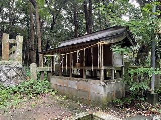 泉神社の参拝記録(智恵子さん)