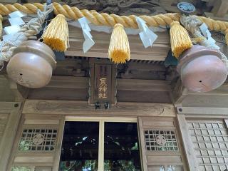 泉神社の参拝記録(さくらもちさん)