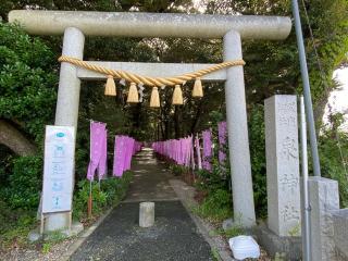 泉神社の参拝記録(さくらもちさん)