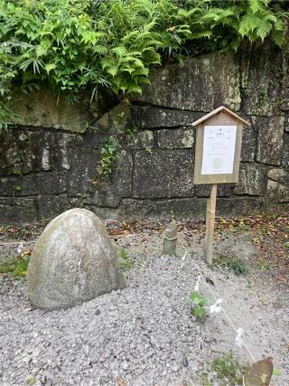 泉神社の参拝記録(⛩️🐍🐢まめ🐢🐍⛩️さん)