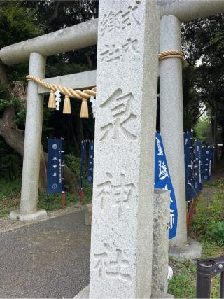 泉神社の参拝記録(⛩️🐍🐢まめ🐢🐍⛩️さん)