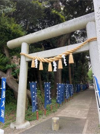 泉神社の参拝記録(⛩️🐍🐢まめ🐢🐍⛩️さん)