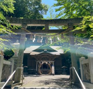 泉神社の参拝記録(のぶさん)