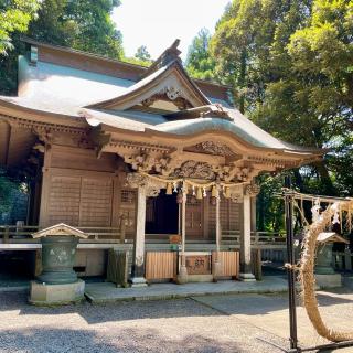 泉神社の参拝記録(のぶさん)